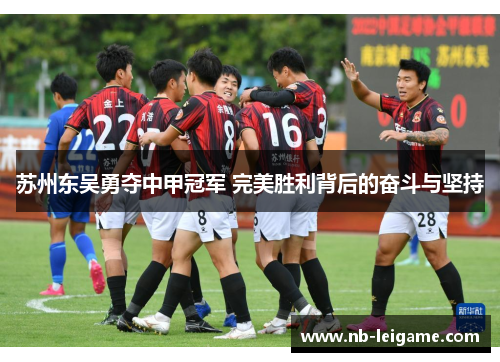 苏州东吴勇夺中甲冠军 完美胜利背后的奋斗与坚持