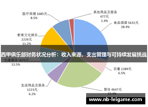 西甲俱乐部财务状况分析：收入来源、支出管理与可持续发展挑战